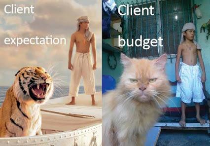 Clients expectation and budget